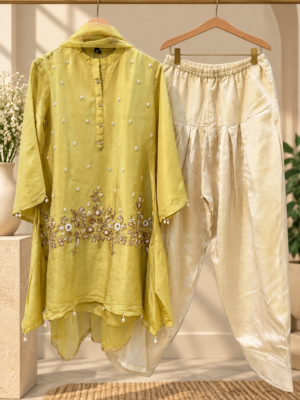Tissue shimmer designer choga set